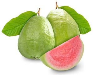 Fresh Guava