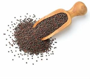 Small Mustard Seeds