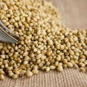 Natural Dried Coriander Seeds