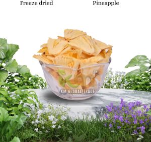 Freeze Dried Pineapple Slices