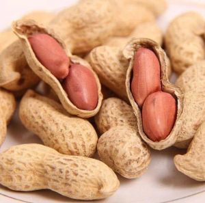 Java Peanuts