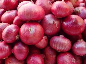 Fresh Red Onion