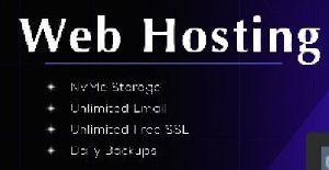 Web Hosting Services