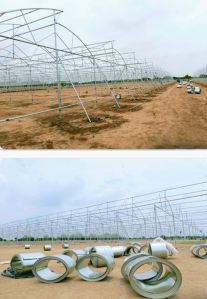 Green House Structure