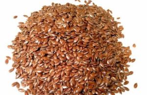 Flax Seeds