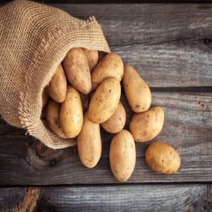 Fresh Potato