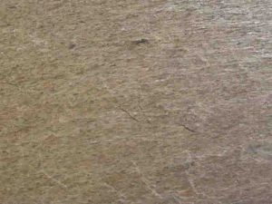 Golden Quartzite Stone