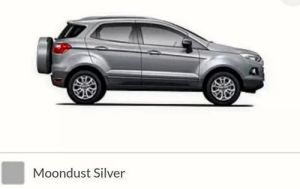 Ecosport Moondust Silver Stepney Cover