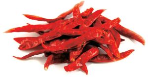 Dry Red Chilli