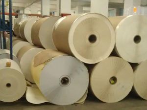 Kraft Paper Reels