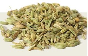 Fennel Seeds