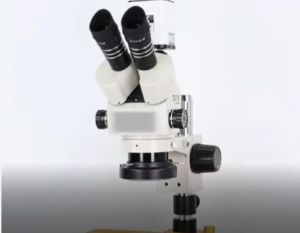 Trinocular Stereo Microscope