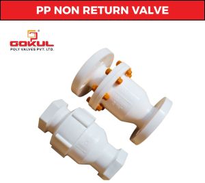 PP Non Return Valve