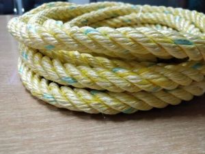PP Danline Rope