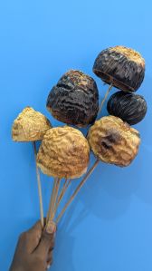 Dried Talami Flower