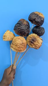 Dried Talami Flower