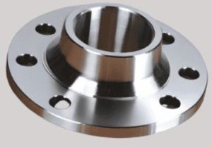 Stainless Steel Flange
