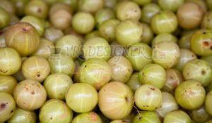 A Grade Amla