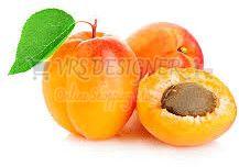 Fresh Apricot