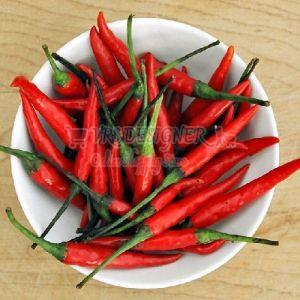 Organic Red Bird Eye Chilli