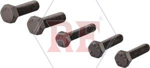 A194 Gr 2H Bolts
