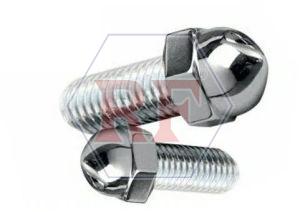 SS Dome Bolt