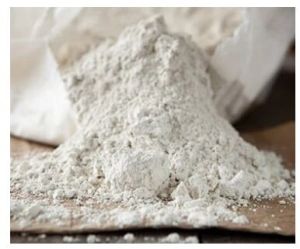 Diatomaceous Earth Powder