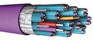 Individual &AMP; Overall Shield PVC Insulated Thermocouple Cable