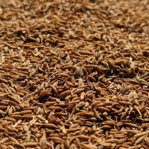 Brown Cumin Seeds