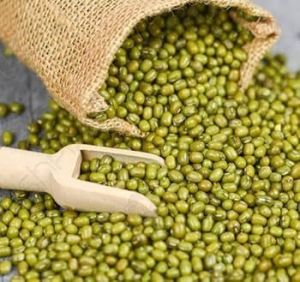 Green Moong Bean