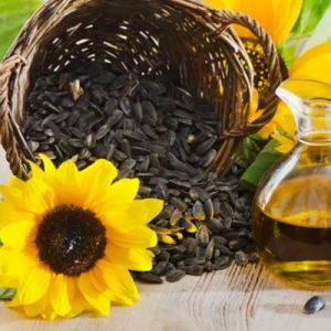 Black Sunflower Seeds