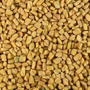Fenugreek Seeds