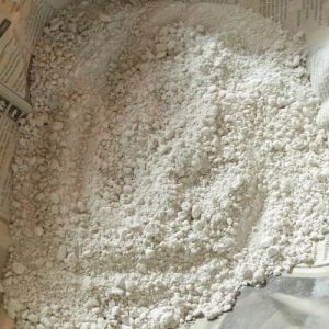 Pure Arrow Root Powder