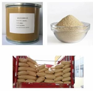 High Contain Purex Sodium Alginate Gum Powder