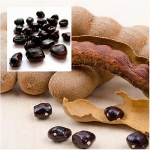 Polyester Printing Tamarind Kernel Powder