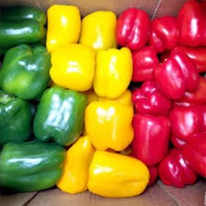 Fresh Red Yellow Capsicum