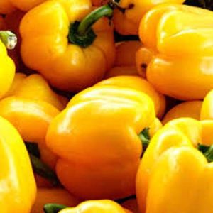 Fresh Red Yellow Capsicum