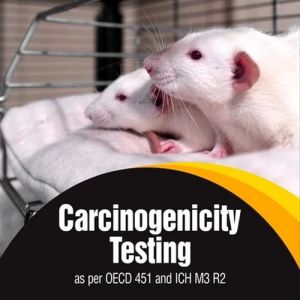 Carcinogenicity Testing Services
