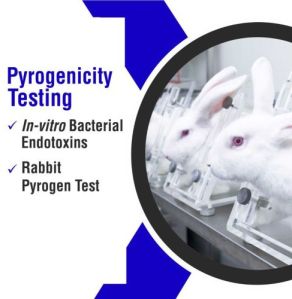 Pyrogenicity Testing Services
