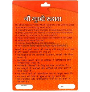 9 Mukhi Rudraksha Pendant