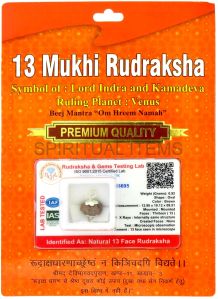 13 Mukhi Rudraksha Pendant
