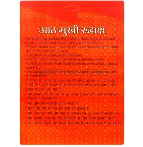 8 Mukhi Rudraksha Pendant