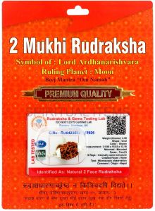 2 Mukhi Rudraksha Pendant