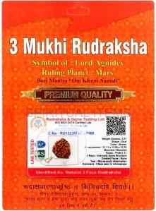 3 Mukhi Rudraksha Pendant