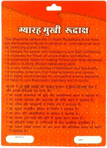 11 Mukhi Rudraksha Pendant