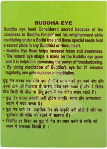 Buddha Eye Rudraksha Pendant