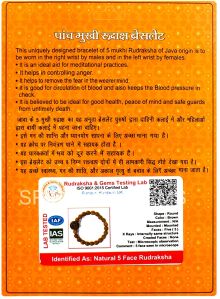5 Mukhi Rudraksha Bracelet