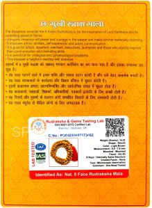6 Mukhi Rudraksha Mala