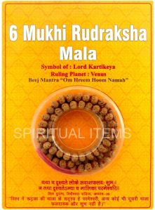 6 Mukhi Rudraksha Mala