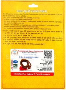 7 Mukhi Rudraksha Mala